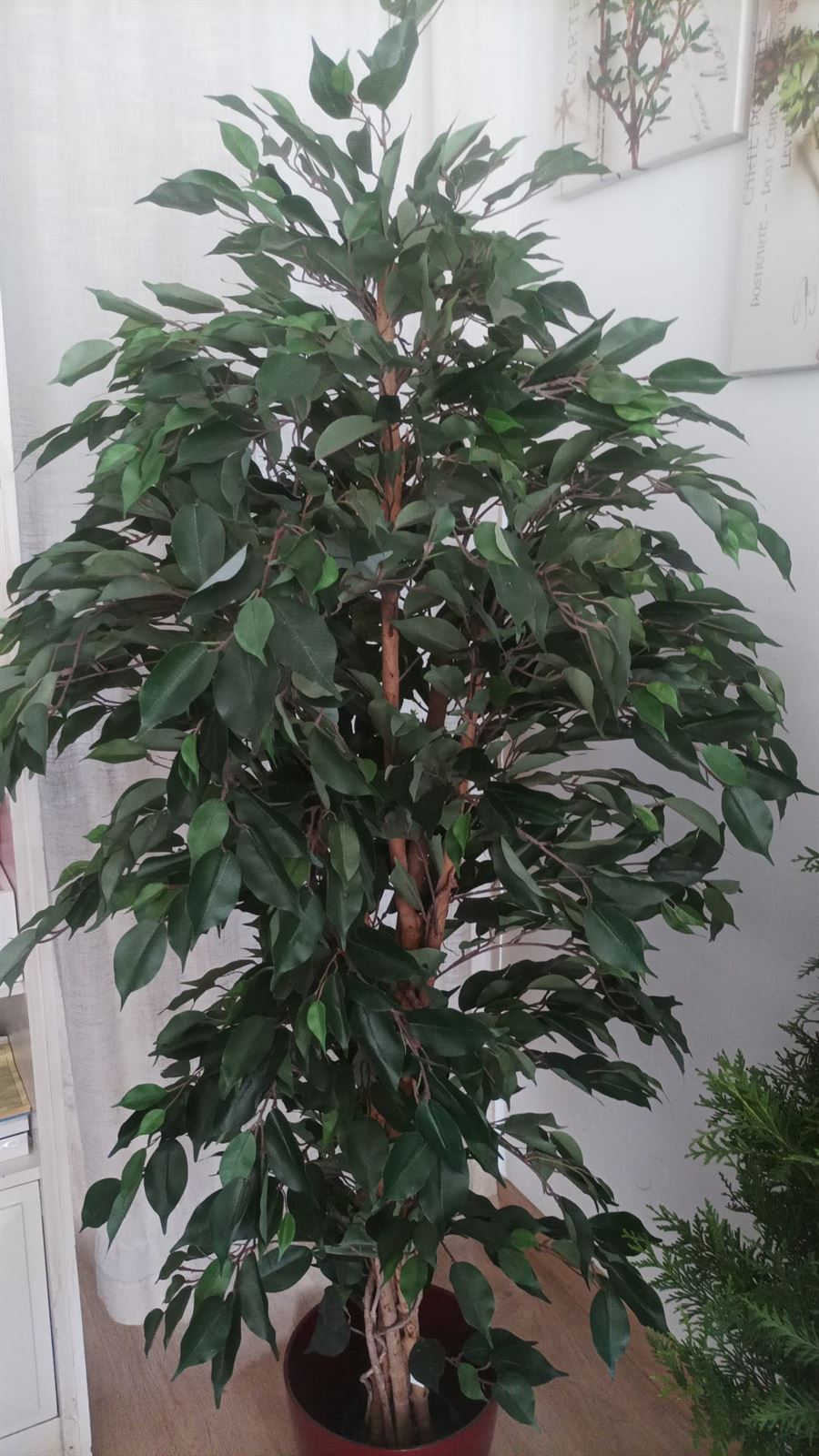Ficus artificial de 1'90 de altura - Imagen 1