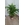 Yuca artificial de 1'10 de altura - Imagen 1