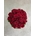 Bouquet de rosas rojas - Imagen 1