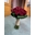 Bouquet de rosas rojas - Imagen 2