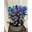Dendrobium nobile azules y violetas - Imagen 1