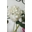 Flor blanca de tela - Imagen 1