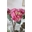 Flor rosa de tela - Imagen 1