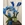 Orquídeas azul oscuro - Imagen 1