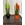 Planta Sansevieria Cylindrica - Imagen 2