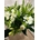 Ramo de flores blancas - Imagen 1