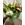 Ramo de flores variado - Imagen 2