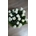 Ramos de 18 rosas blancas - Imagen 1