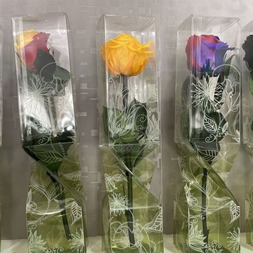 Rosas preservadas - Imagen 1